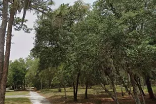 1163 E Canvas Ln, Hernando, FL 34442 - Photo 1