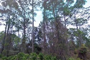 NE 66th Ave, Citra, FL 32113 - Photo 1