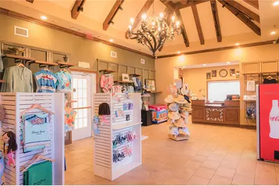 1113 Castle Pines Court, Reunion, FL 34747 - Photo 65