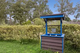 30904 Deal Dr, Sorrento, FL 32776 - Photo 23