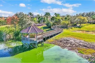 2269 Bella Luna Cir, Lakeland, FL 33810 - Photo 41