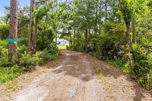 538 Murray St, Osteen, FL 32764 - Photo 35