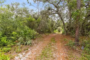 538 Murray St, Osteen, FL 32764 - Photo 33