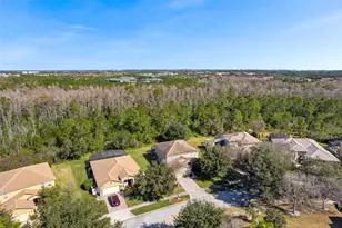 9045 Paolos Pl, Kissimmee, FL 34747 - Photo 37