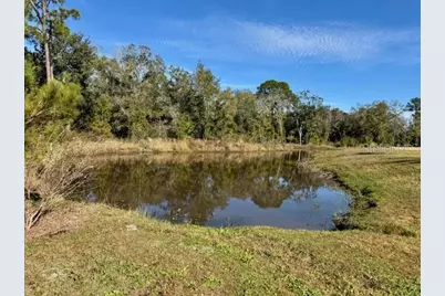 203 Woodgrove Drive, Orlando, FL 32825 - Photo 21