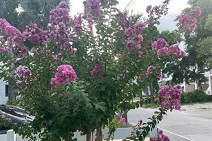 244 Lexington Dr, Daytona Beach, FL 32114 - Photo 43