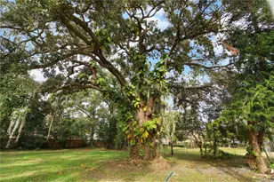 2524 Blue Lake Ct, Apopka, FL 32703 - Photo 27