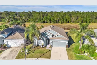 1739 Canoe Creek Falls Drive, Orlando, FL 32824 - Photo 31