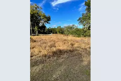 195 Lake Molly Avenue, Deland, FL 32724 - Photo 3