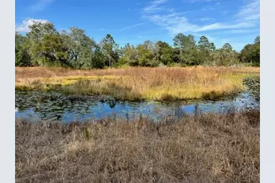 195 Lake Molly Avenue, Deland, FL 32724 - Photo 9