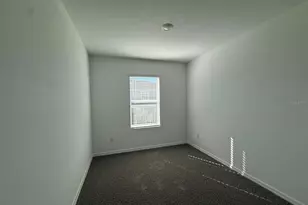 31264 Paper Birch St, Wesley Chapel, FL 33545 - Photo 9