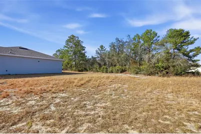133 Violet Court, Kissimmee, FL 34759 - Photo 25