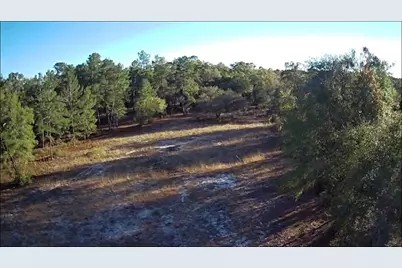 Ne 40th Street, Williston, FL 32696 - Photo 3