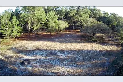 Ne 40th Street, Williston, FL 32696 - Photo 5