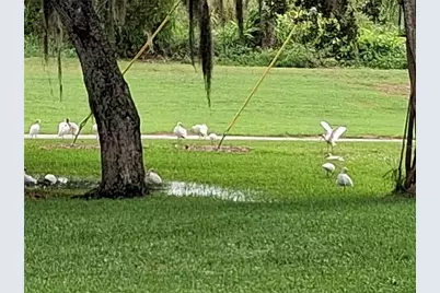 7 Vista Gardens Trail #105, Vero Beach, FL 32962 - Photo 3