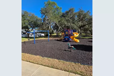 13527 Misarden Lane, Windermere, FL 34786 - Photo 7