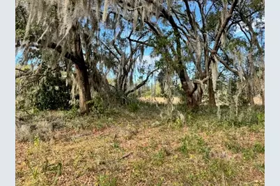 201 Lake Molly Avenue, Deland, FL 32724 - Photo 5