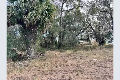 195 Lake Molly Avenue, Deland, FL 32724 - Photo 11