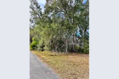 195 Lake Molly Avenue, Deland, FL 32724 - Photo 5