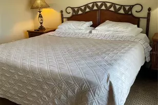 13427 Blue Heron Beach Dr, Orlando, FL 32821 - Photo 15