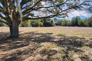 124 SE Loxley Glen, Lake City, FL 32024 - Photo 55