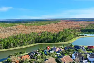 2479 Flowering Dogwood Dr, Orlando, FL 32828 - Photo 9