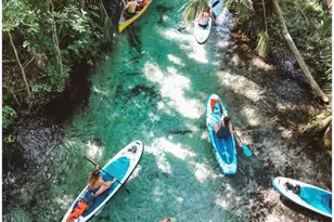 305 Sweetwater Club Cir, Longwood, FL 32779 - Photo 61