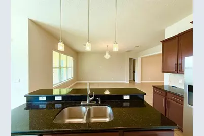 17514 Black Rail Street, Windermere, FL 34786 - Photo 15