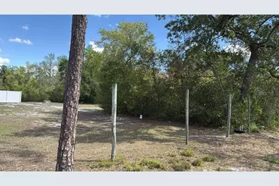 1105 Grapefruit Avenue, Sebring, FL 33870 - Photo 3