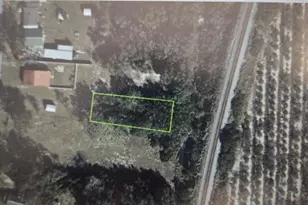 1105 Grapefruit Ave, Sebring, FL 33870 - Photo 1