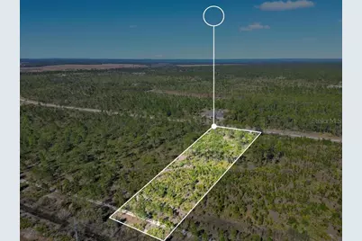 Meadowlark Boulevard, Lake Wales, FL 33898 - Photo 17