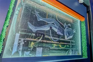 2126 Lelani Cir, Davenport, FL 33897 - Photo 67