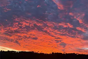 3628 Solana Cir, Clermont, FL 34711 - Photo 61