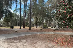 8870 SW 191st Cir, Dunnellon, FL 34432 - Photo 59