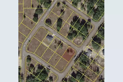 00 Guava Track Trail, Ocklawaha, FL 32179 - Photo 3