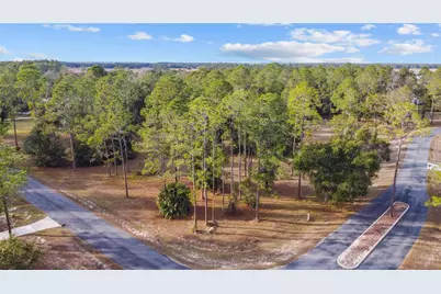 Falabella, Groveland, FL 34736 - Photo 1