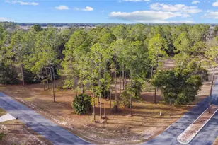 Falabella, Groveland, FL 34736 - Photo 1