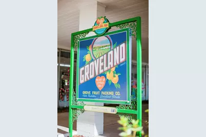 Falabella, Groveland, FL 34736 - Photo 43