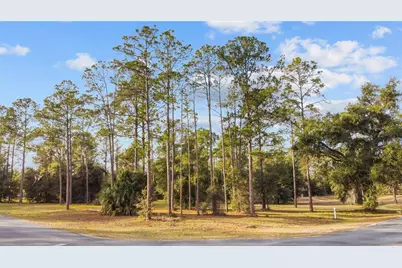 Falabella, Groveland, FL 34736 - Photo 31