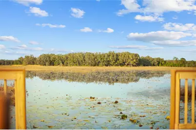 Falabella, Groveland, FL 34736 - Photo 17