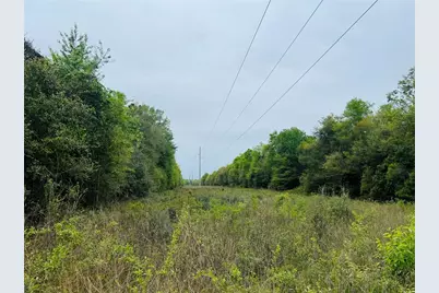 Tbd Tower Road, Bascom, FL 32423 - Photo 5