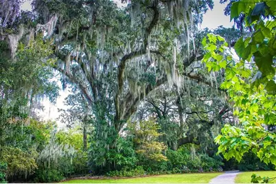 537 N Pollard, Oakland, FL 34787 - Photo 15