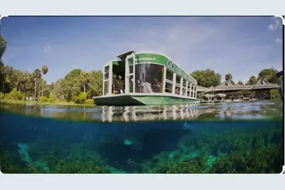 3100 NE 104th Terrace, Silver Springs, FL 34488 - Photo 73