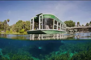 3100 NE 104th Terrace, Silver Springs, FL 34488 - Photo 73