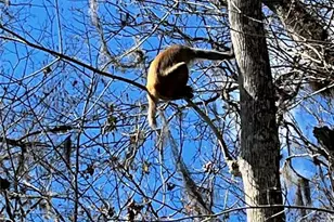 3100 NE 104th Terrace, Silver Springs, FL 34488 - Photo 89