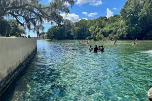 3100 NE 104th Terrace, Silver Springs, FL 34488 - Photo 85