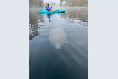 3100 NE 104th Terrace, Silver Springs, FL 34488 - Photo 79