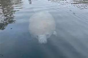 3100 NE 104th Terrace, Silver Springs, FL 34488 - Photo 79