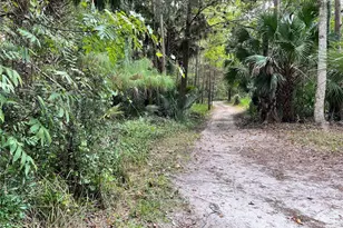 3100 NE 104th Terrace, Silver Springs, FL 34488 - Photo 71