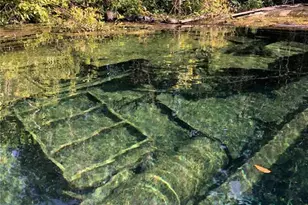 3100 NE 104th Terrace, Silver Springs, FL 34488 - Photo 91